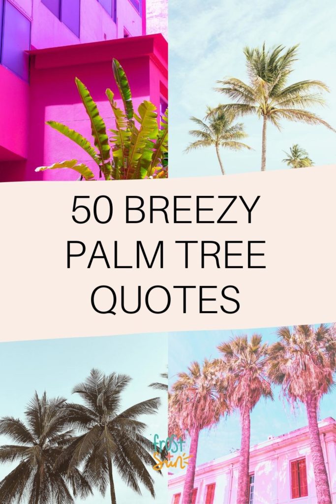 Grid with 4 photos of palm trees. Text in the middle reads "50 Breezy Palm Tree Quotes."