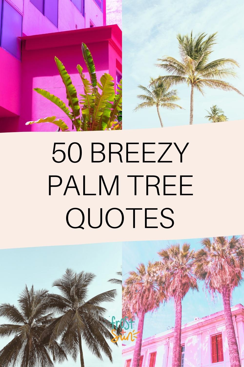 50 Best Palm Tree Quotes & Captions for Instagram