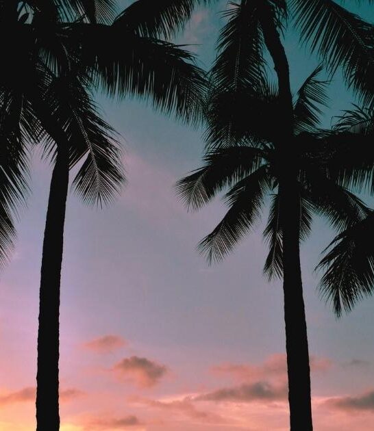 Where to Watch the Sunset on Waikiki Beach￼