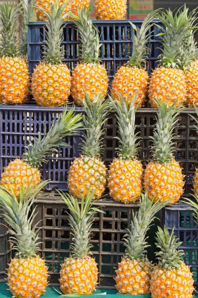 Closeup of a display of fresh pineapples.