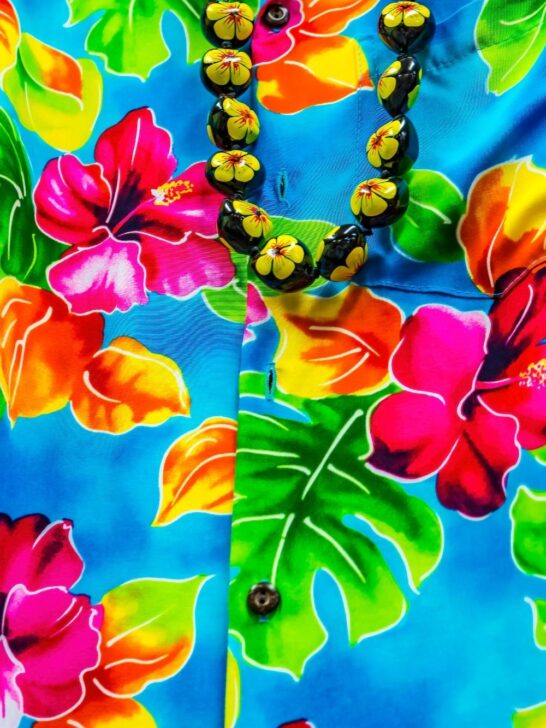The Best Hawaii Souvenirs to Take Home
