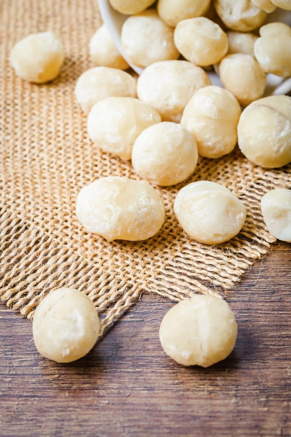 Closeup of a handful of macadamia nuts.