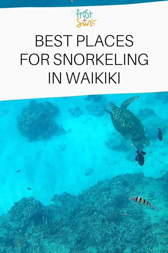 Photo of a sea turtle and fish swimming at Turtle Canyon reef off the coast of Oahu. Text above the photo reads "Best Places for Snorkeling in Waikiki."