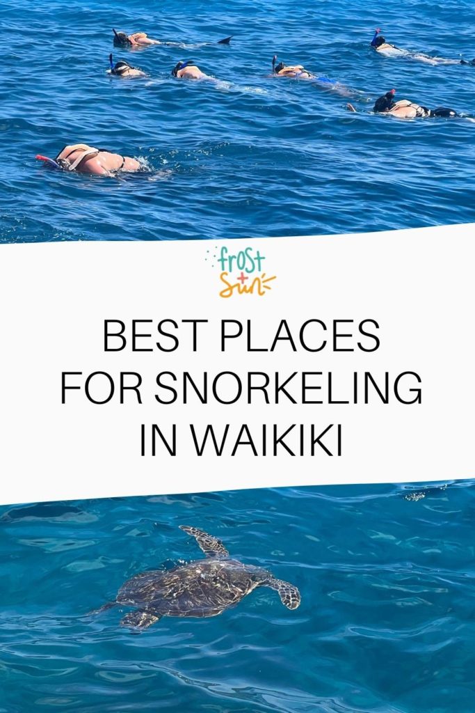 People snorkeling at Turtle Canyon off of Oahu, while a sea turtle swims by. Text in the middle reads "Best Places for Snorkeling in Waikiki."