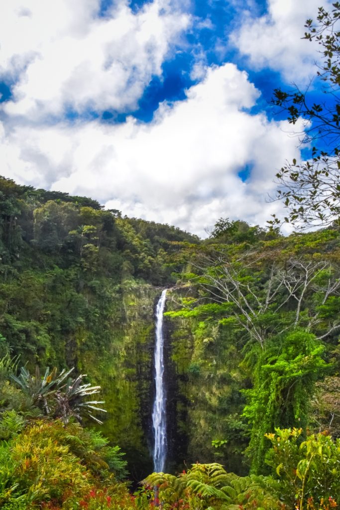 Photo of Akaka Falls on Big Island, Hawaii.