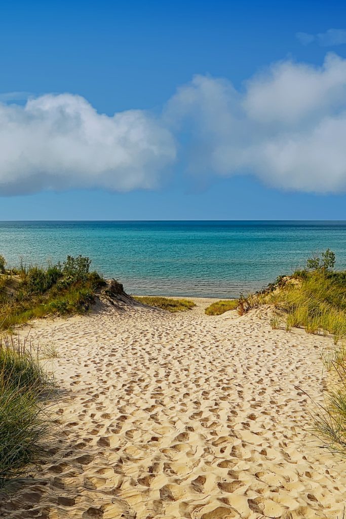 Photo of a sand dune at a beach.