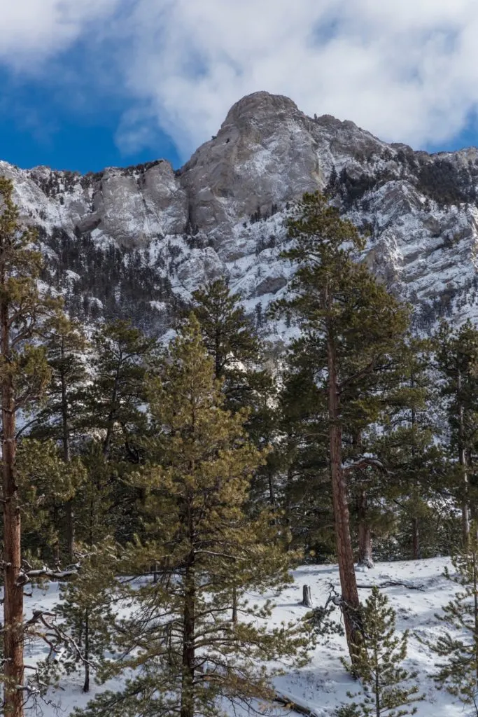 Photo of Mount Charleston in Nevada with snow.