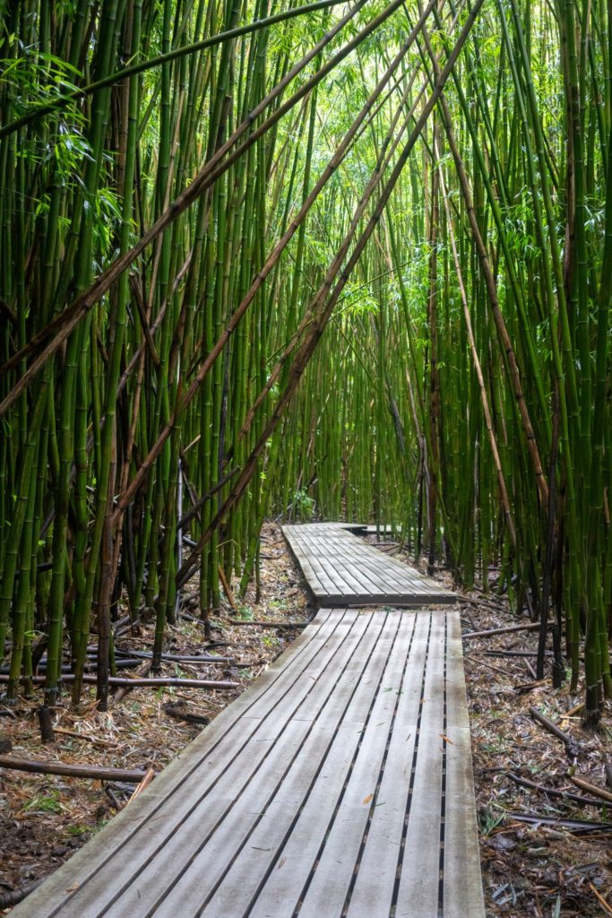 Photo of the wooden boardwalk through Pipiwai Trail on Maui.