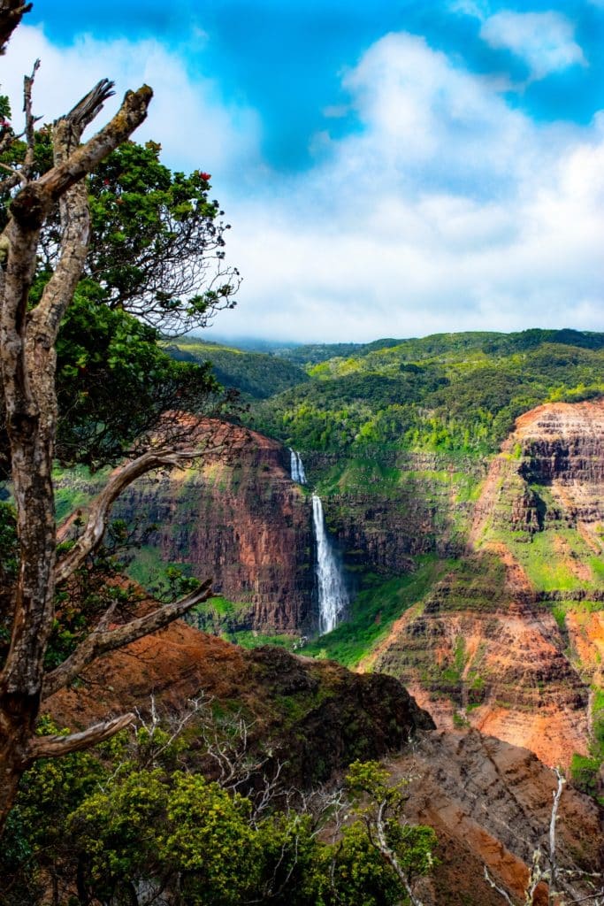 Photo of Waimea Canyon on Kauai.