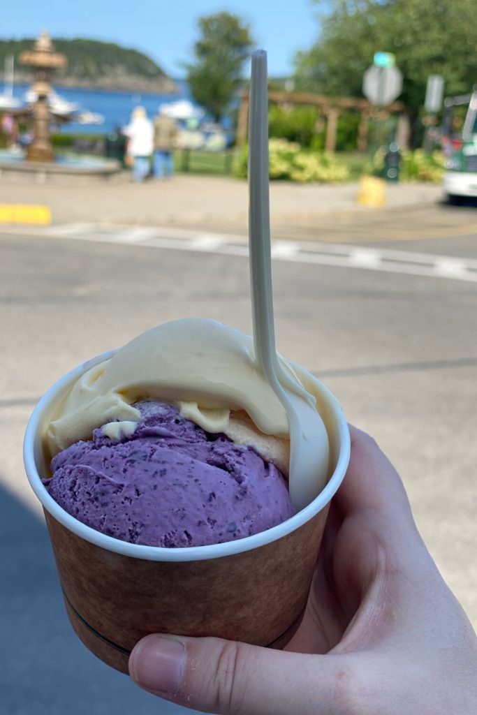 Closeup photo of blueberry and peach ice cream in a cup.