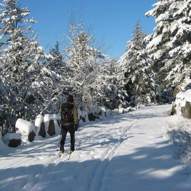 Photo of a person cross country skiing in Acadia National Park with lots of snow on the ground and trees.