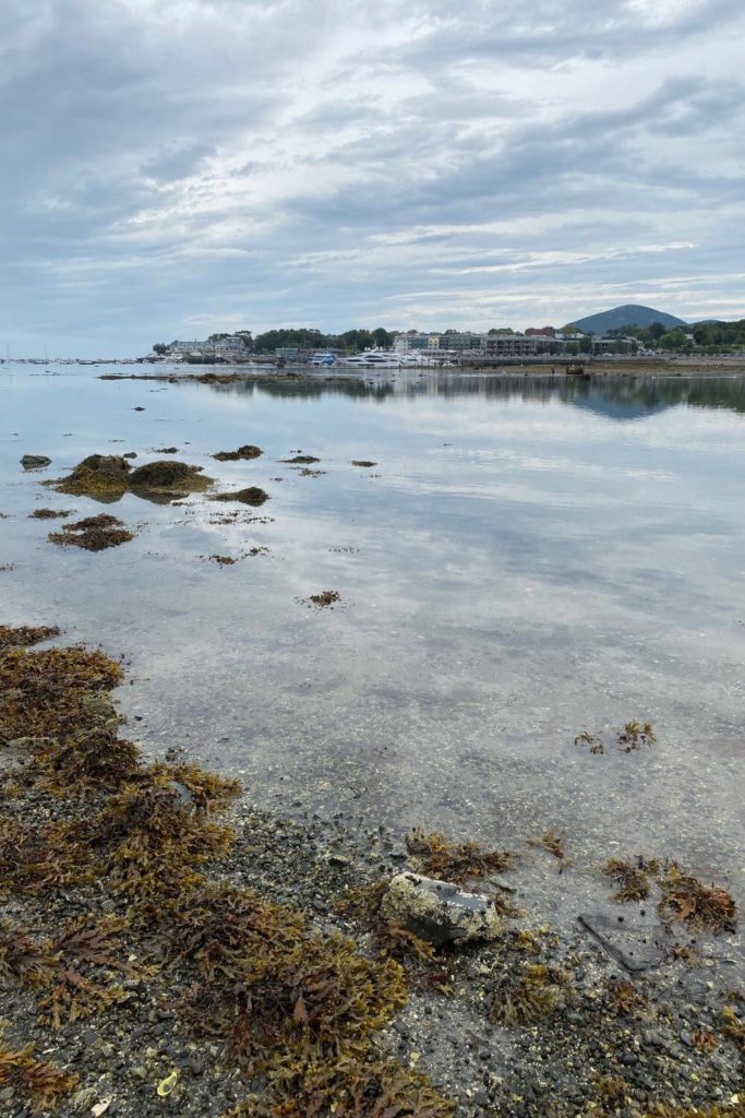 View of downtown Bar Harbor from the Bar Island land bridge with the shoreline reflecting in the water.