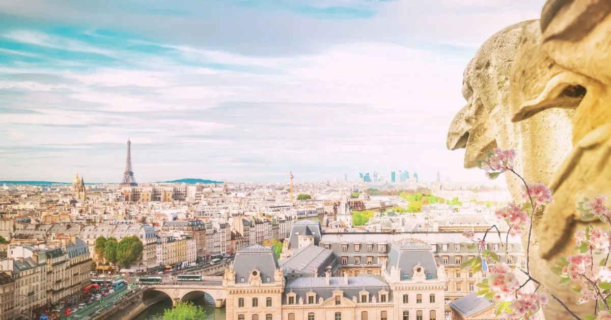 Aerial photo of the city of Paris from the outskirts with pink flowers in the foreground.