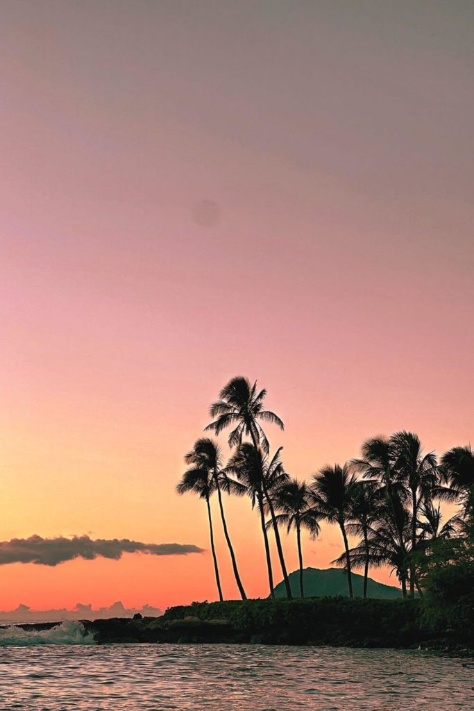 Silhouette of palm trees against a red and orange sunset.