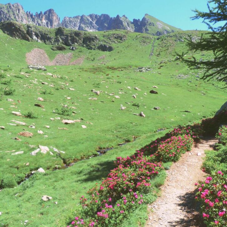 Photo of the rolling green landscape at Mercantour National Park in France.