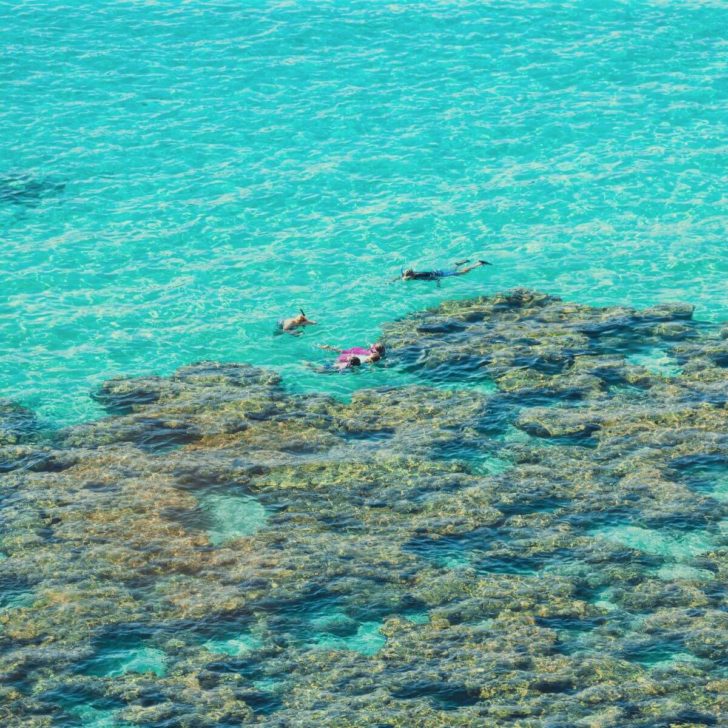 Aerial view of people snorkeling near the reefs in Hanauma Bay off the island of Oahu, Hawaii.