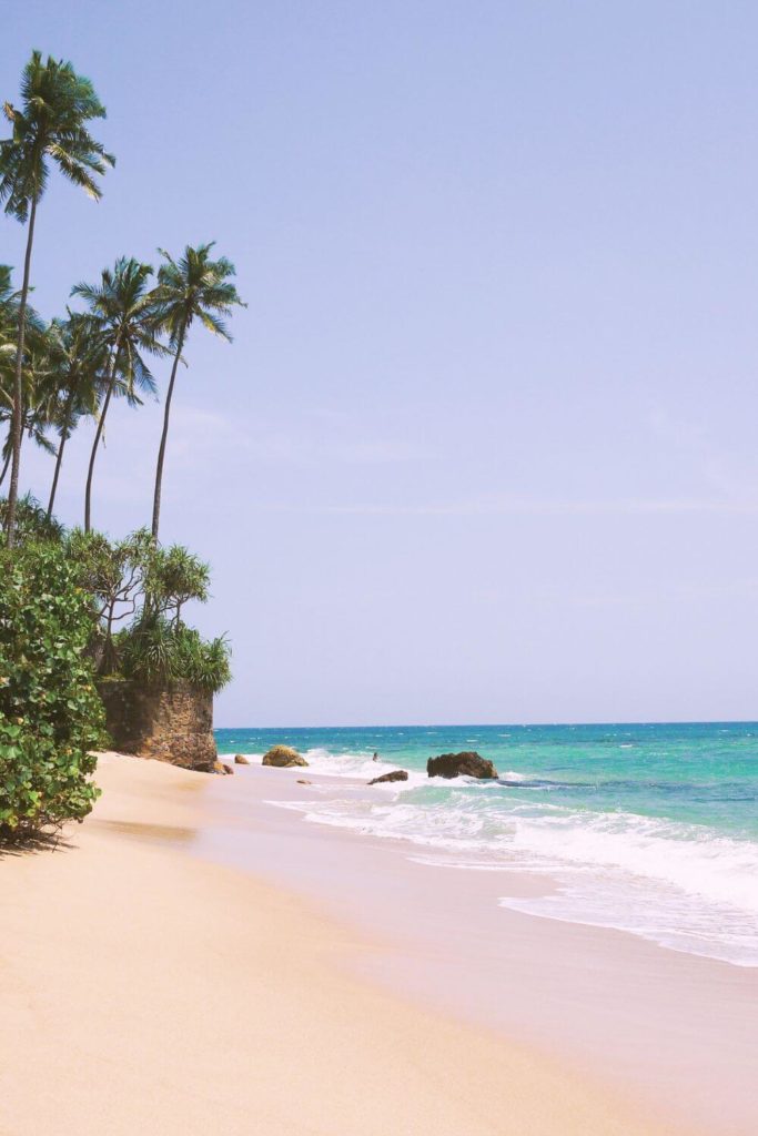 Photo of a pristine golden beach in Mirissa, Sri Lanka, with palm trees in the distance.