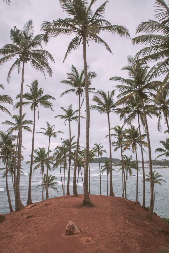 Photo of Coconut Tree Hill in Mirissa, Sri Lanka.