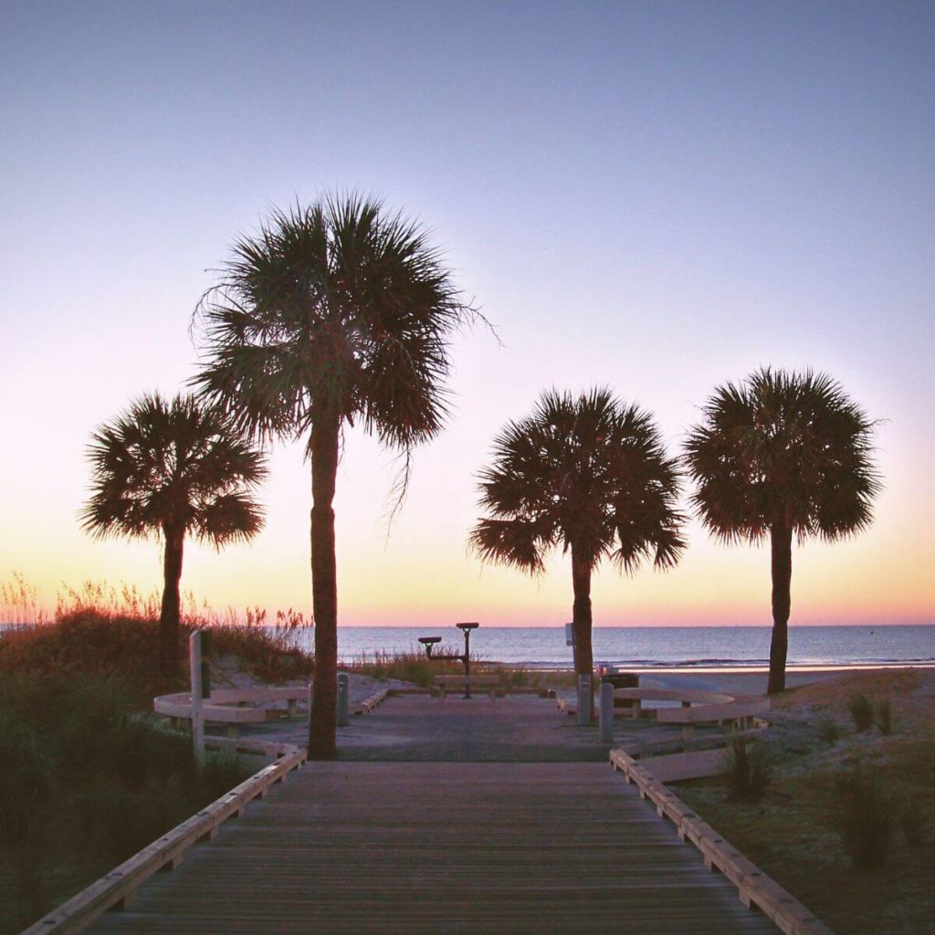 Wooden walkway lined with palm trees leading to Coligny Beach on Hilton Head Island in South Carolina.