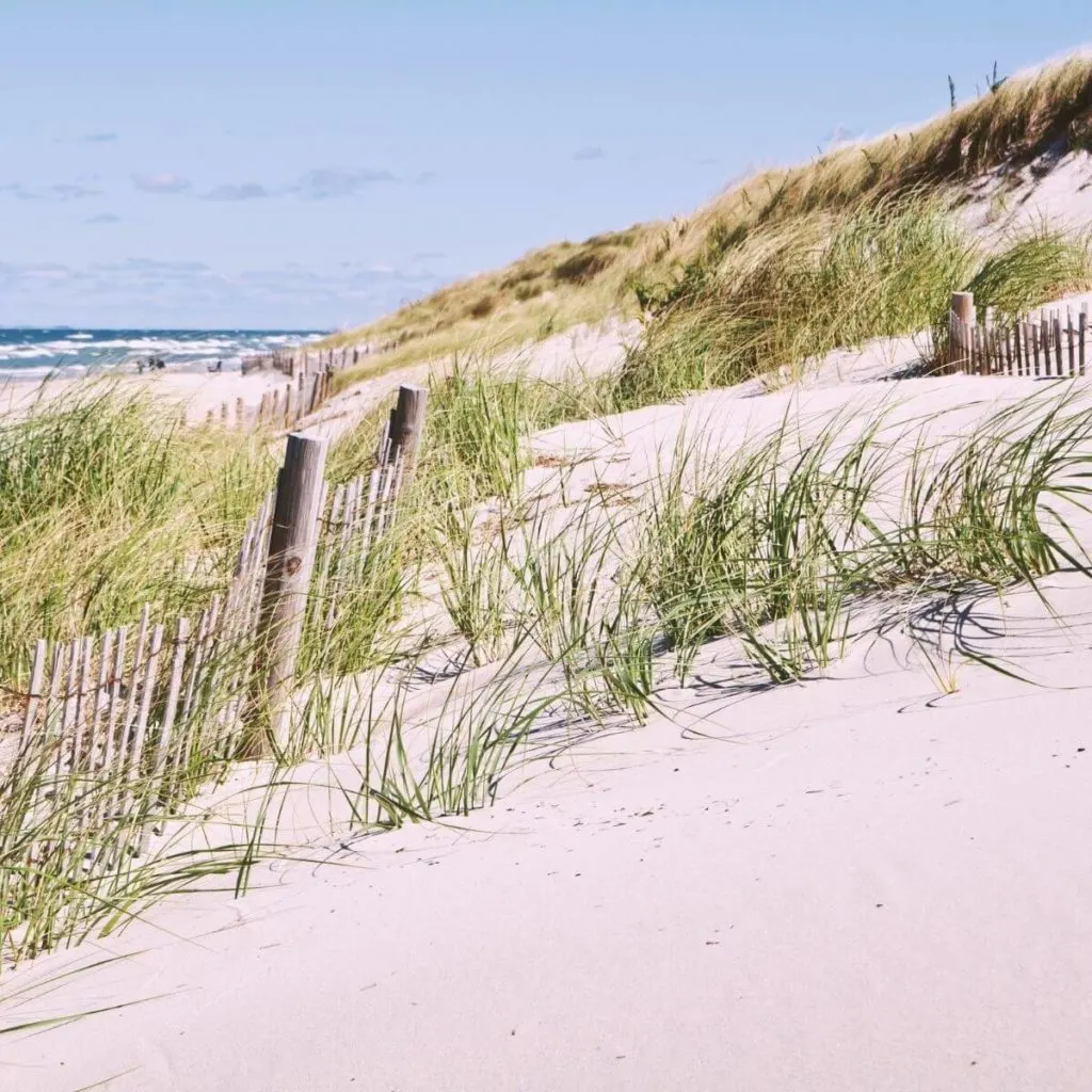 Photo of a beach in Dennis, MA with rolling sand dunes.