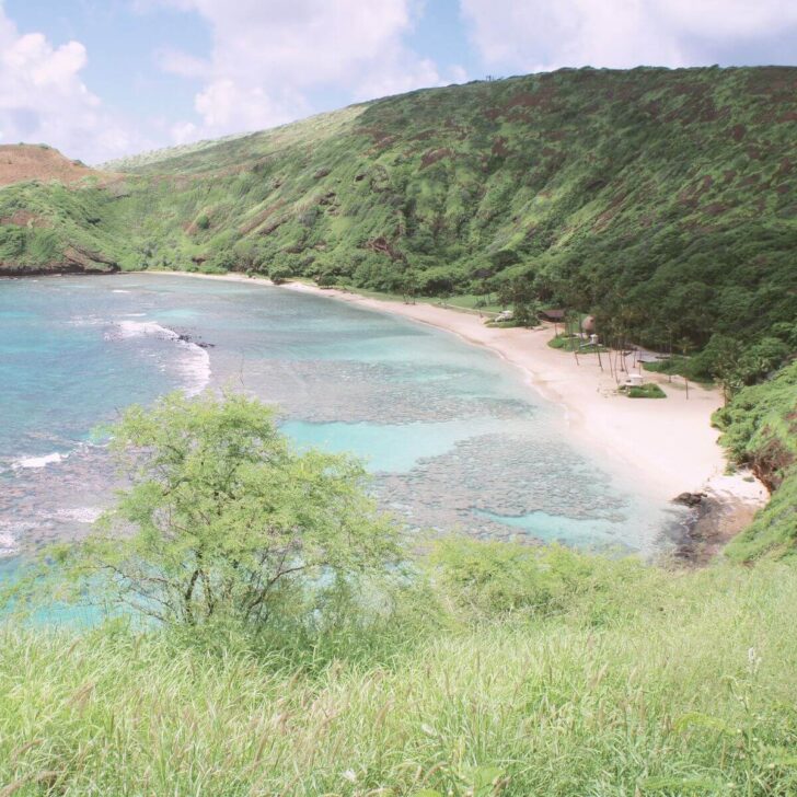 Photo of Hanauma Bay, on the island of Oahu in Hawaii, from the cliffs above.