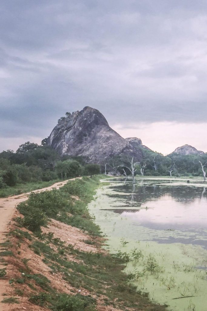 Photo of a small mountain with a dirt road leading up to it and a pond to the right of the road in Yala National Park in Sri Lanka.