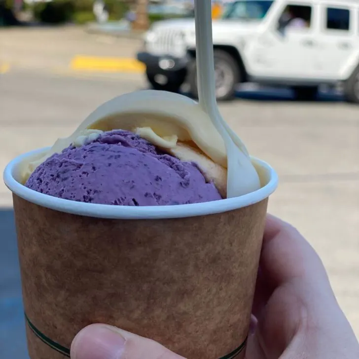 Closeup of a cup of fresh blueberry and peach ice cream.