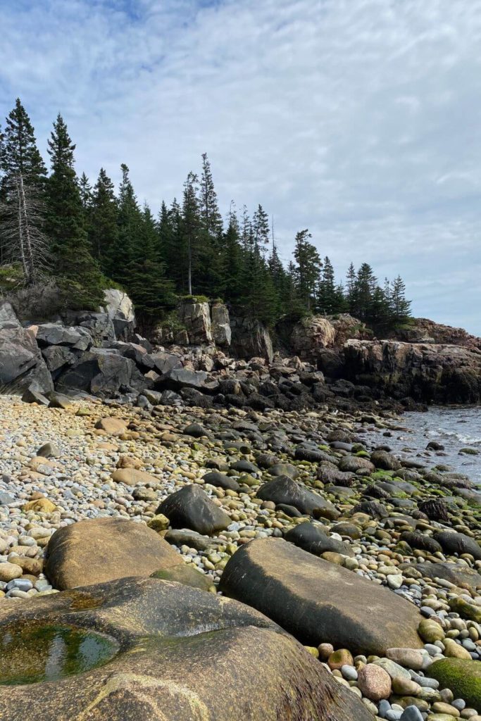 Photo of rocky Little Hunters Beach in Acadia National Park with an evergreen-lined cliff in the background.