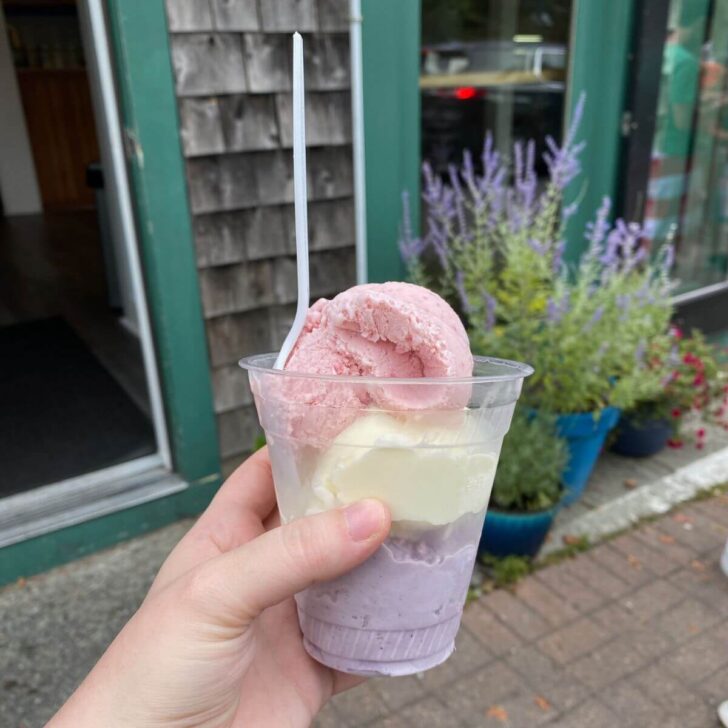 Photo of a cup with 3 scoops of ice cream (strawberry, vanilla, blueberry) in front of a shop.