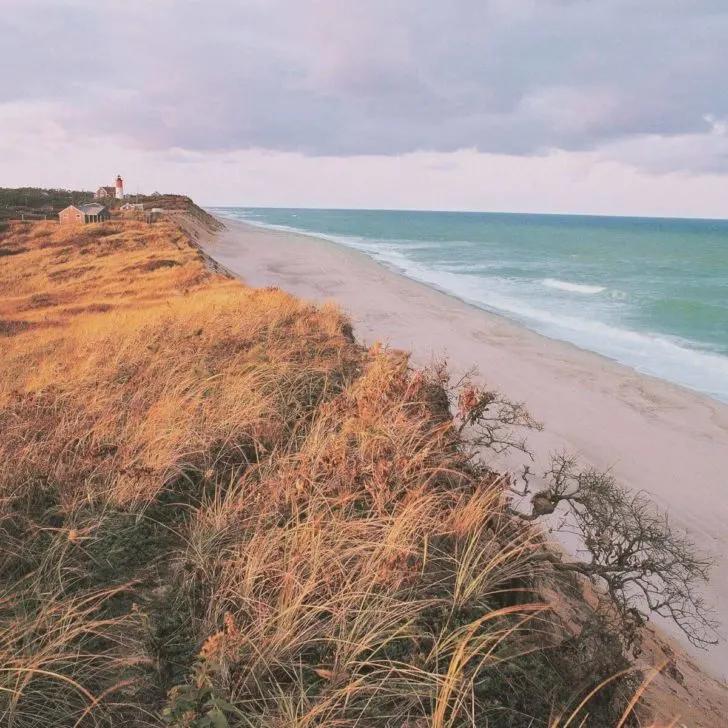 Photo of Nauset Beach in Orleans, MA from the top of a dune with Nauset Lighthouse far off in the background.