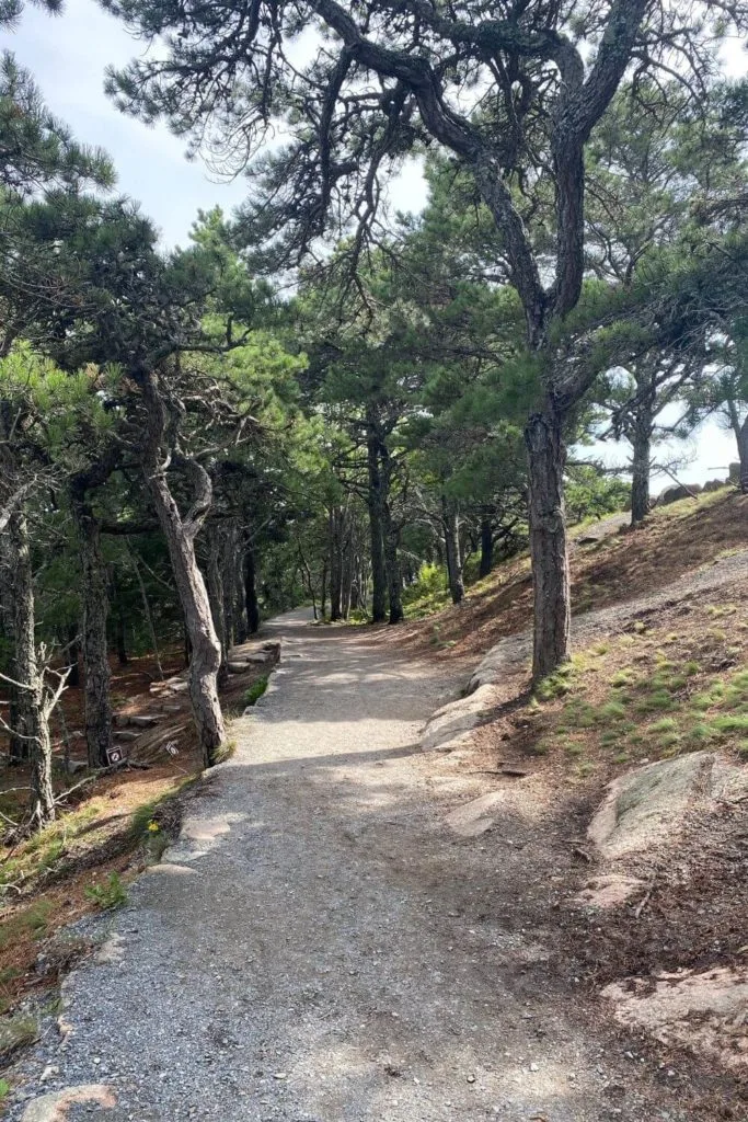 Photo of part of the Ocean Path in Acadia National Park.