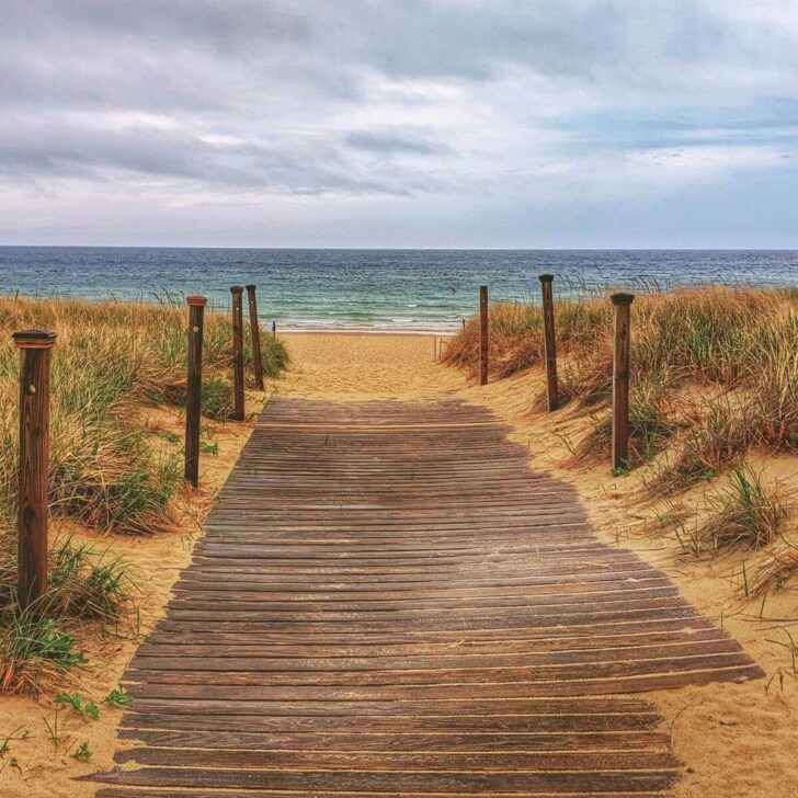 Photo looking out at Scusset Beach in Falmouth from a wooden boardwalk-style walkway.