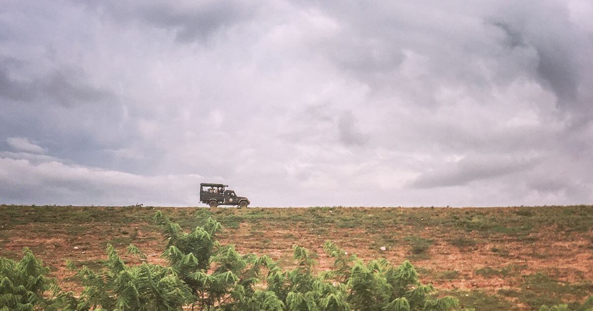 Photo of a safari vehicle driving along a dirt road in the distance in Yala National Park in Sri Lanka.