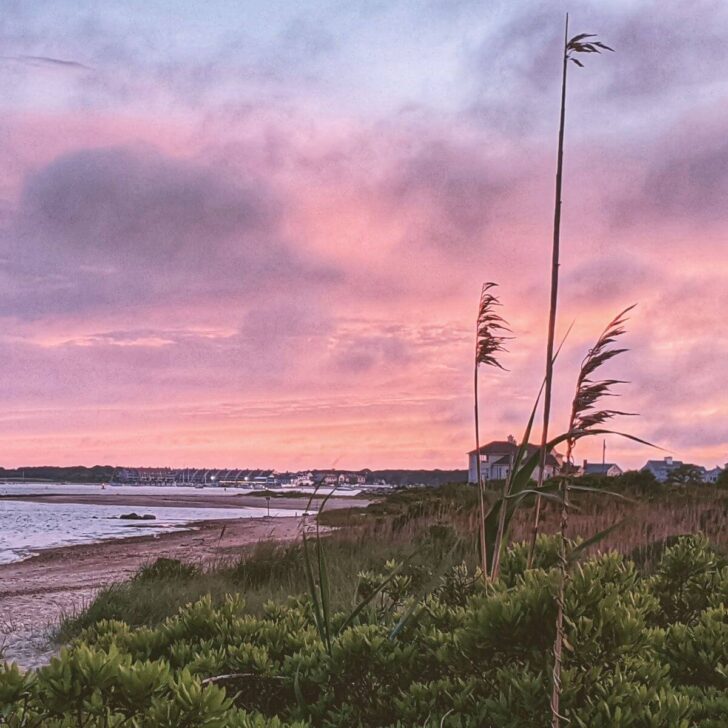 Photo of a beach in Yarmouth, MA with sea grass in the foreground and beach houses in the background.