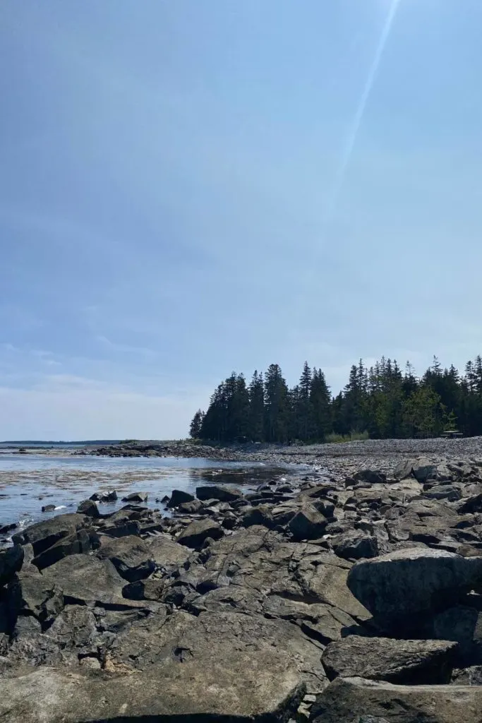 Vertical photo of Bennet Cove in Southwest Harbor, Maine, with rocks in the foreground and evergreen trees in the background.