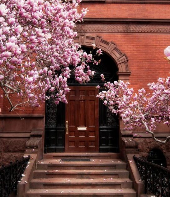 The Best Things to Do in Boston in April