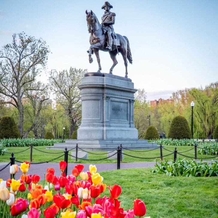 Photo of the Paul Revere Statue in the Boston Public Garden with blooming tulips in the foreground.
