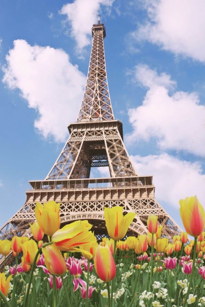 Photo of the Eiffel Tower with tulips in the foreground.