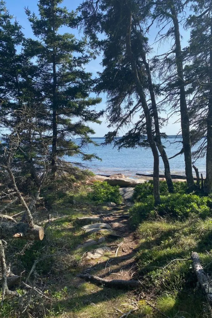 Photo from Wonderland Trail out to Bennet Cove in Southwest Harbor, ME.