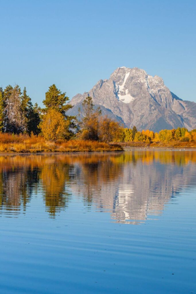Photo of the Grand Tetons and Fall foliage reflecting in a lake in the foreground.