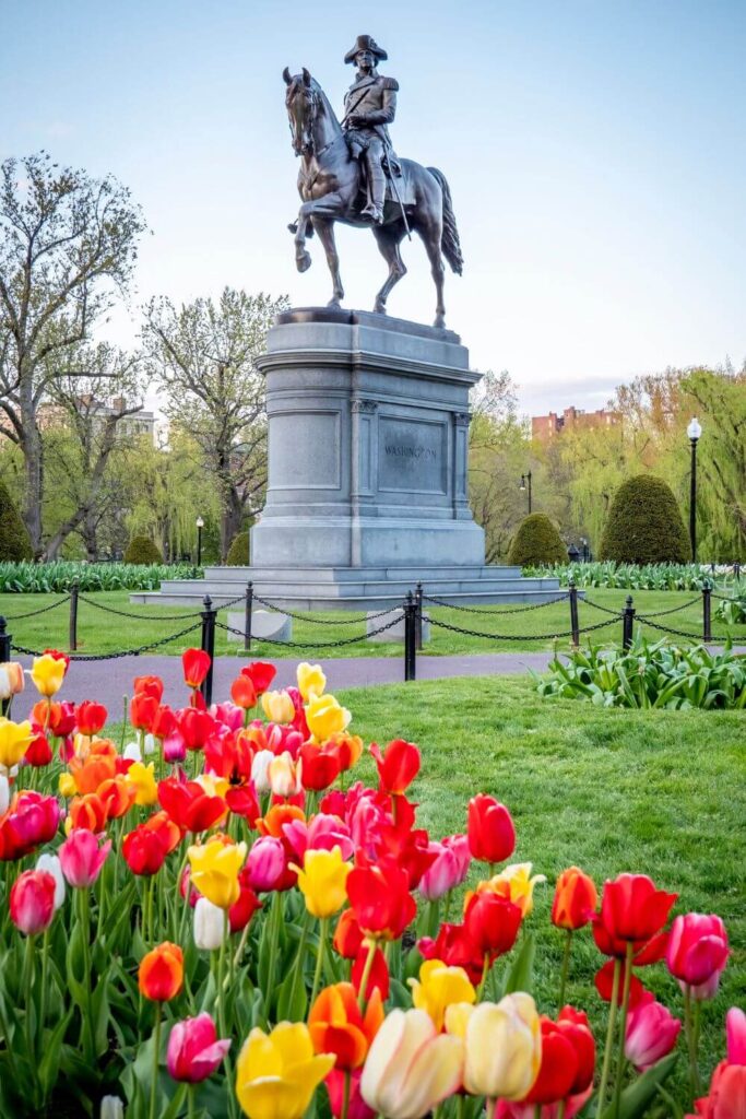 Photo of the George Washington statue in the Boston Public Garden with colorful tulips blooming in the foreground.
