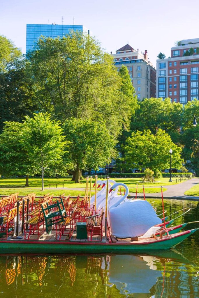 Photo of the iconic Swan Boats at the Boston Public Garden, parked in the water.