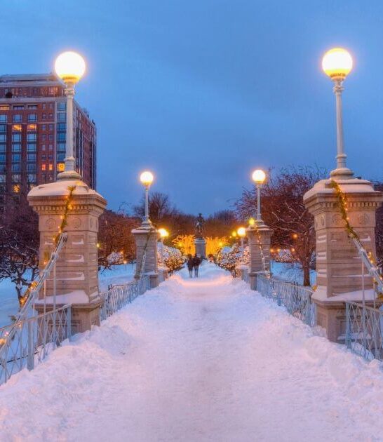A Complete Guide to Visiting Boston in the Winter, From a Local
