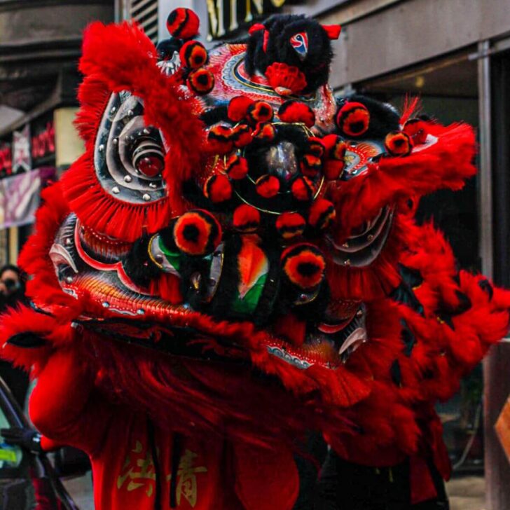 Photo of a dancing dragon from a Chinese New Year celebration in Boston.