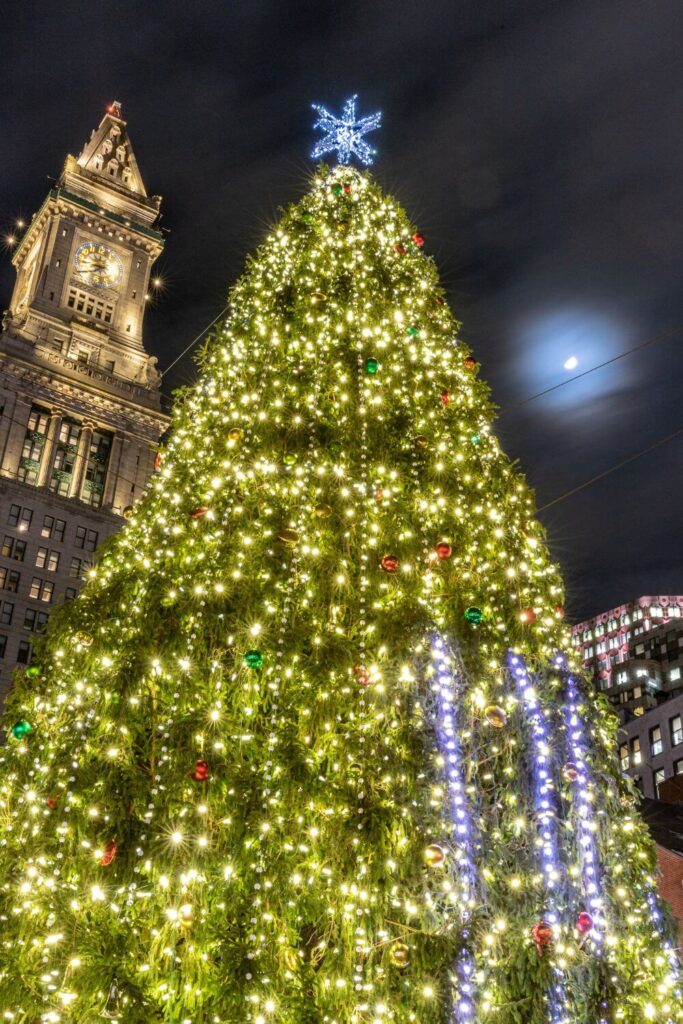 Photo of a giant Christmas tree lit up at night in Boston.